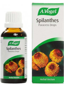 A-VOGEL-Spilanthes-fitiko-antimikitiasiko-apo-spilanthes-50-ml