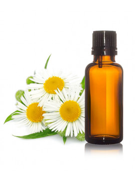 Dr-Angels-Essential-Oil-Chamomile-10ml